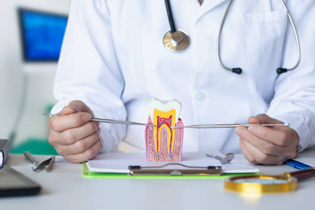 Best Walk-In Emergency Dental Services in Hohenwald, TN